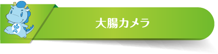 大腸カメラ